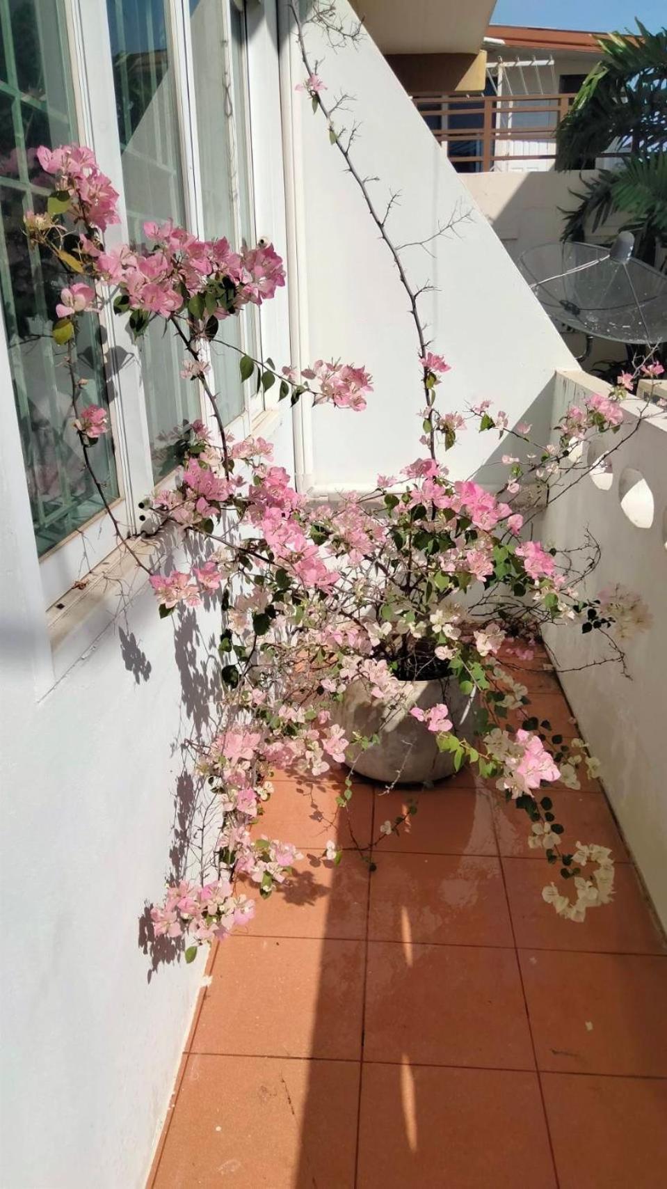 Little Jasmine By The River Phitsanulok Εξωτερικό φωτογραφία